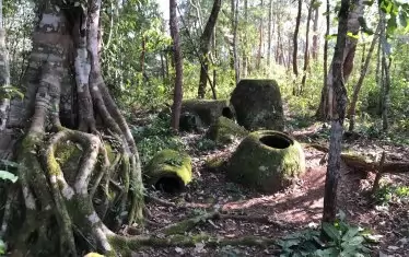 На Площадка 52 (на снимката) е най-голямото от всички открити струпвания на гърнета - общо 352 броя.