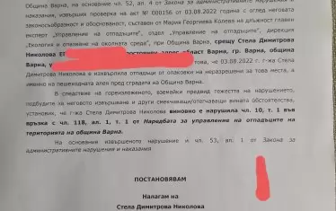 Актът на Николова