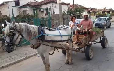 Защо каруцата е цяла, защо пиперът е червен - политици омайват народа