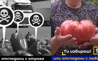 Чернобял пипер с черепи като при Бойко или голям червен домат като при Петков - креативността на ПП  е чутовна. Впрочем, и с просто око се вижда, че доматът е дефектен. 