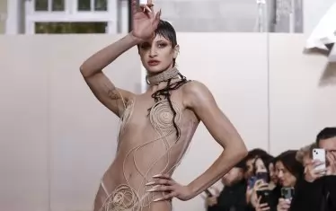  Модел на Weinsanto 