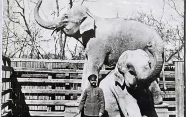 Нал и Дамаянти със своя гледач. 