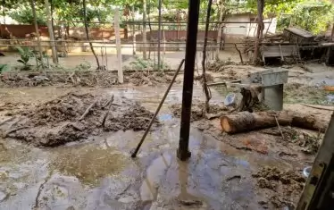 Кадри от къща в Каравелово, разпространени от БНТ.