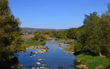 Златарица без Пушкин