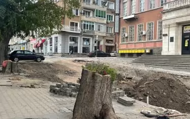 Само дънерите останаха от дърветата на улицата.