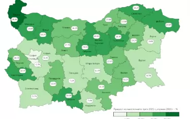 Прираст по области 2011-2021 г.
