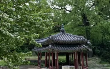 Нощна гледка към градината пред будисткия храм „Чогьеса“ (Jogyesa) в централен Сеул.