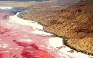  Езерото Натрон