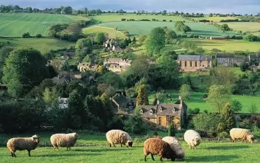 Шетланд туид се тъче от вълната на овцете от едноименната порода. 