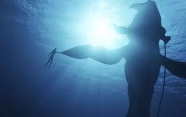 Китът е любимият ми герой в "Аватар 2".