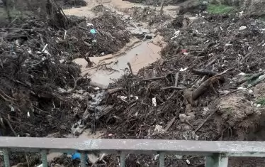 "Безопасно" дере.