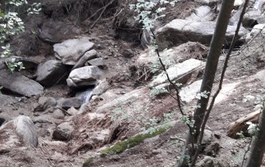 "Това е част от гората над Слатина .- минимална, която чака дъжда, за да я свали в селото. Чакат огромни камъни в дерето, готови да направят бент! Кой трябва да ги види? Кой трябва да ни чуе?", написаха хората преди 4 дни в социалните мрежи.