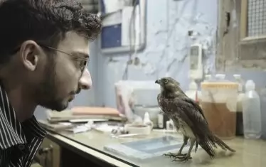 "Всичко, което диша"