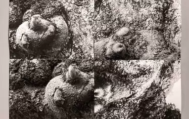 „Прегръдка — Каменни градини", 2001- 2003 г., пигментен широкоформатен печат