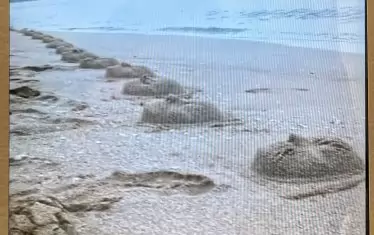 Надежда Олег Ляхова, „Отливки от лицето на автора”, пясък 