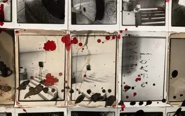 Без название, 224 фотографии 9 х 13, цветен туш, 2001 - 2003, копиране на мини лаб, фрагмент.