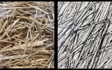 Кирил Прашков, Слама-представа, 2013—2019, слама, лепило , туш, хартия 