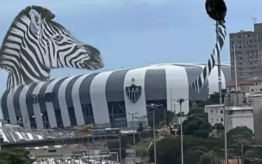 Един от колажите със зебра на "Арена MRV".