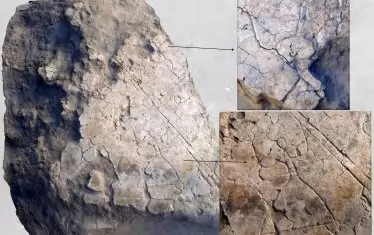 Праисторически находки от селищната могила Провадия.