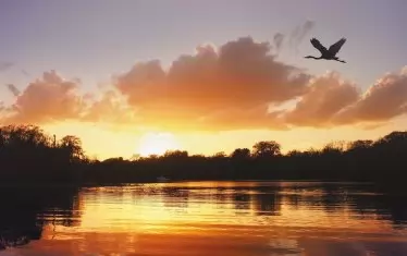 „Одисея“ за малки индианци