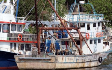 Румъния арестува три български кораба заради улов на акули
