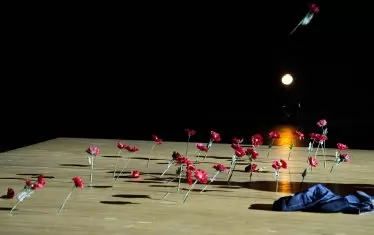  Червени цветя останаха на сцената след спектакъла...