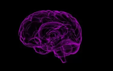 Neuralink не получи право да тества чип в човешки мозък