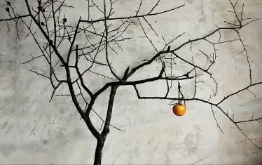  Още един елемент от Genesis-а на Юлиян Табаков.