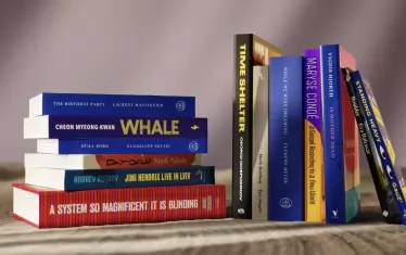  13-те книги в дългия списък на номинациите