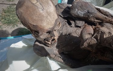 Мъж, пренасял древна мумия в хладилна чанта, е арестуван в Перу
