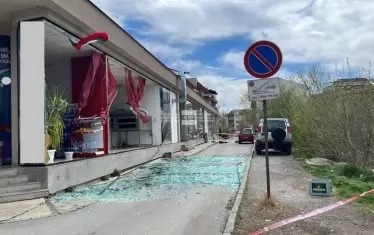 Съборено от вятъра дърво удари мъж в Пловдив