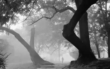 В парка, 1977 г.