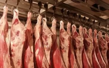 Спрените 32 т македонско агнешко месо се оказаха с добри показатели