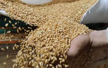 Украйна временно спира новия коридор за зърно
