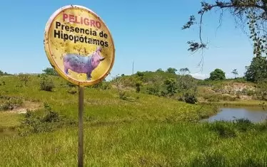 Знаци предупреждават за опасна близост с животните.