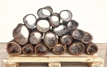 Красимир Терзиев. "Има зими, за които никой не е подготвен (пролет)", 2023, кора от липа, полиестерна смола, вариращи размери. 