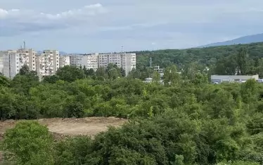  Дървета се изсичат и в "Люлин" заради бъдещата спортна зала на бившия футболист Даниел Боримиров.