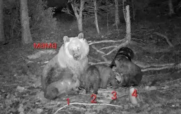 Подредени за снимка!