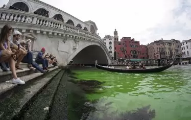 На 28 май водата в Канале гранде до моста Риалто се оцвети в зелено: оказа се органично багрило за храни...