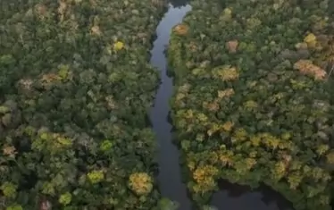 Река в Амазония получи юридически статут на личност