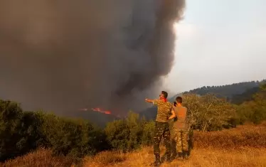 79 души са арестувани в Гърция заради пожарите 