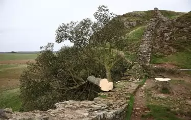 С една от най-живописните гледки по Адриановия вал в Англия е свършено.