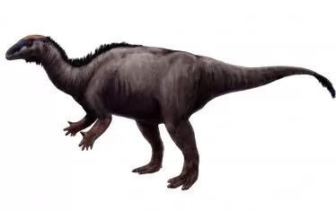 Художествена възстановка на камптозавър