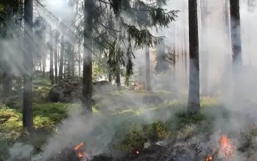 Пожарът край Свиленград тръгна към Турция