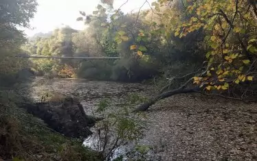 Камчия. Тук живеят феите.