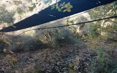 Мостът не мърда, листата не мърдат, водата не мърда...