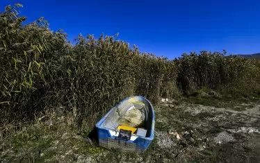  Лодките на рибарите често заорават в плитчините.