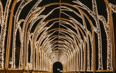 Вълшебната градина Lumina посреща софиянци (ГАЛЕРИЯ)