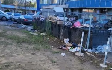  Според хората наблизо служители на магазин за хранителни стоки от известна верига са немърливи при съхраняването на отпадъците.      