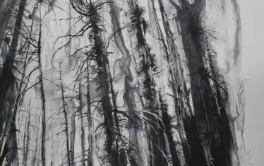  Мариана Смит работи с графика, живопис, видео инсталации...